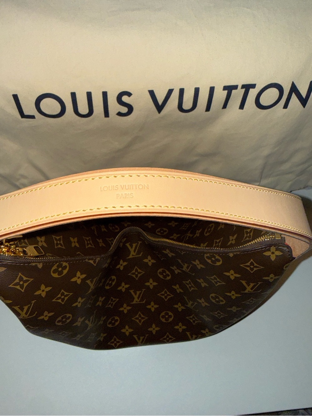 Louis Vuitton slouchy MM - Picture 8 of 14